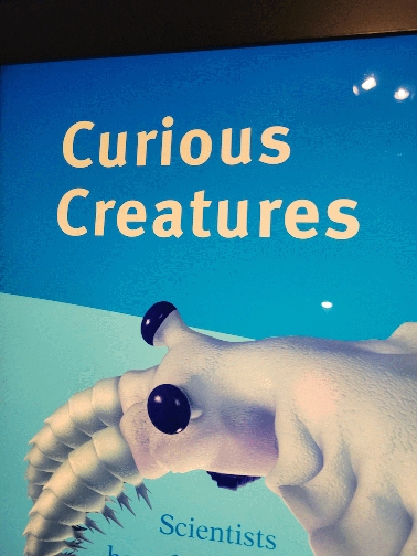 Curious Creatures