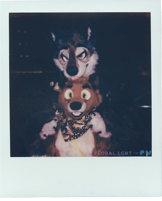 Riley & Kaim