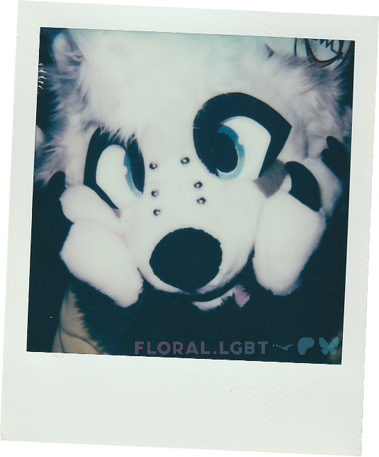 Toki
